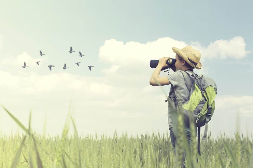 The Art of Bird Watching: Connecting with Nature and Nurturing&nbsp;Well-Being