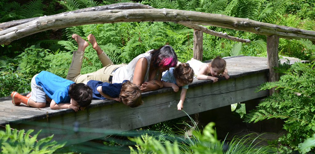 Exploring a Tapestry of Passions: From Nature to Entrepreneurship, A Journey of Lifelong Learning