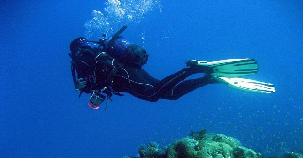 Diving into Conservation: Impactful Marine Biology Projects Saving Our Oceans