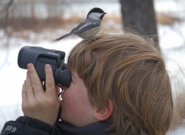 The Joy of Bird Watching: Connecting with Nature and&nbsp;Community