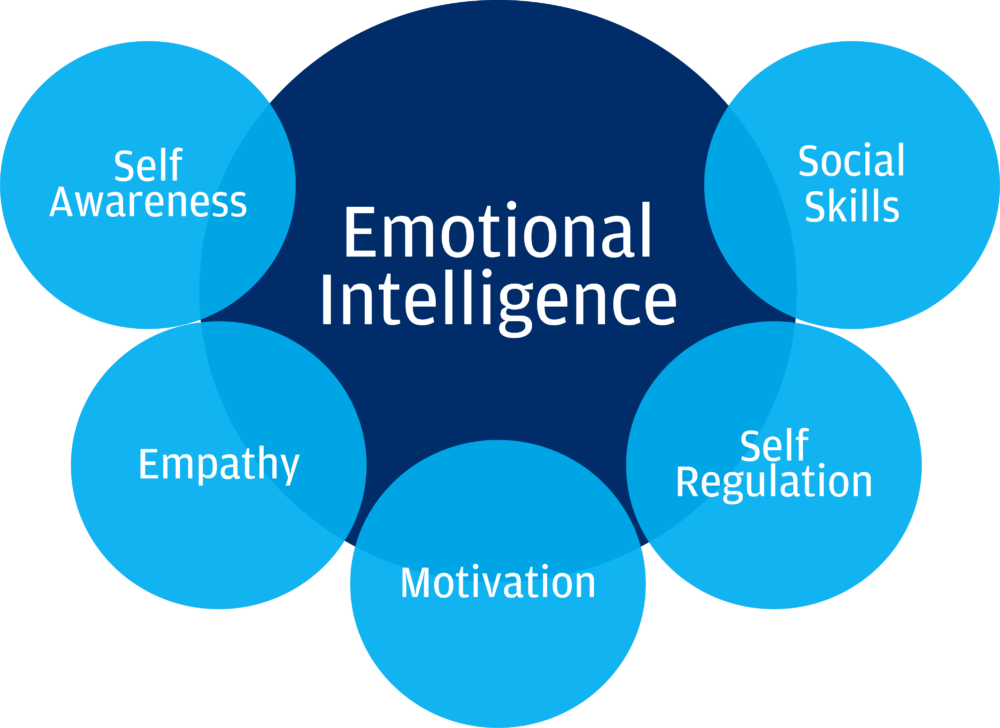 Unlocking Success: The Power of Emotional Intelligence in Alternative&nbsp;Schools
