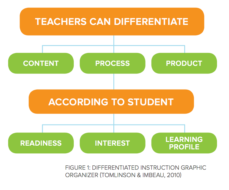 Unlocking Potential: The Power of Differentiated&nbsp;Instruction
