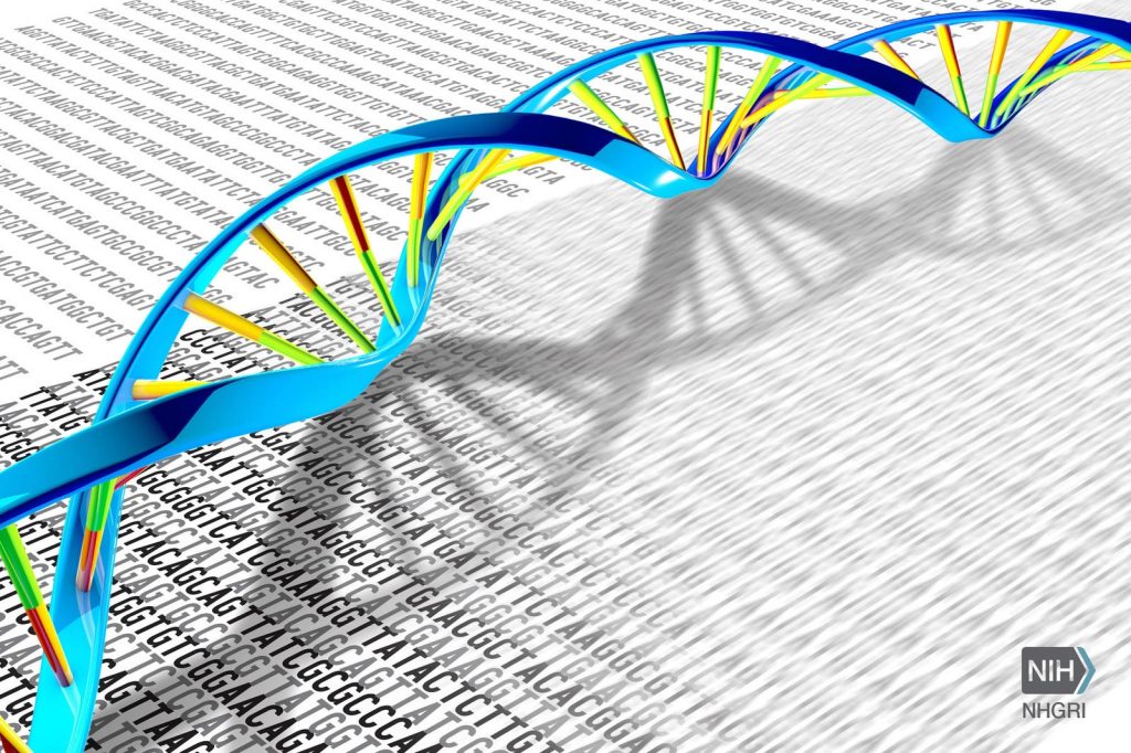 Unraveling the Future: The Rise of Bioinformatics in Revolutionizing Biological&nbsp;Research