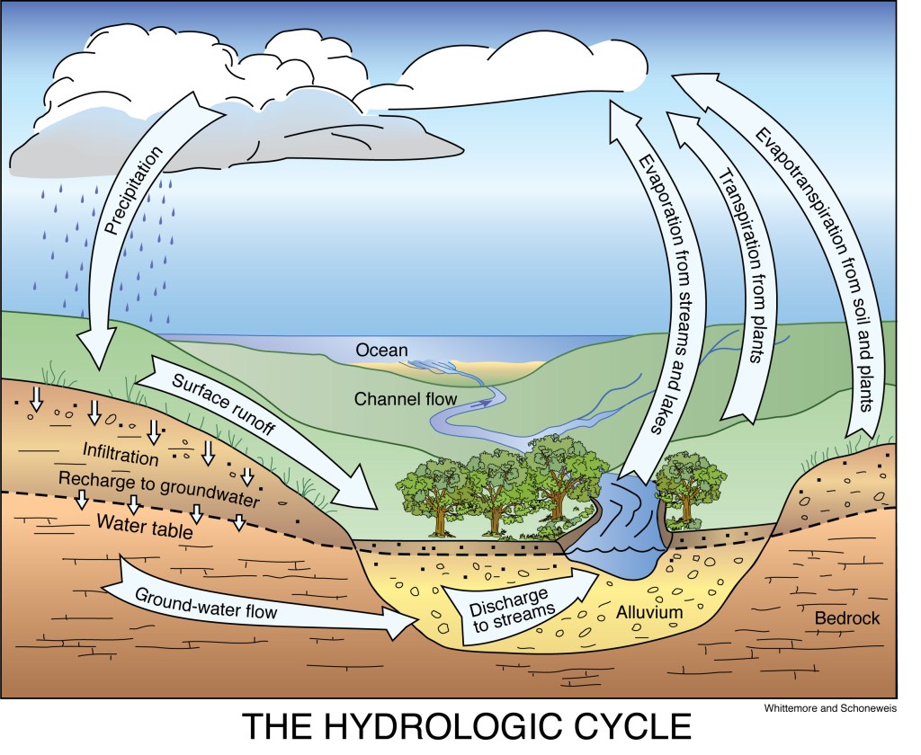 Unveiling the Intriguing World of Hydrology: Exploring Water’s Vital&nbsp;Role