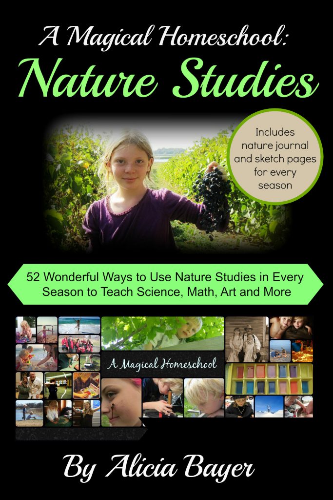 Exploring the Wild: The Importance of Nature Studies in Alternative&nbsp;Education