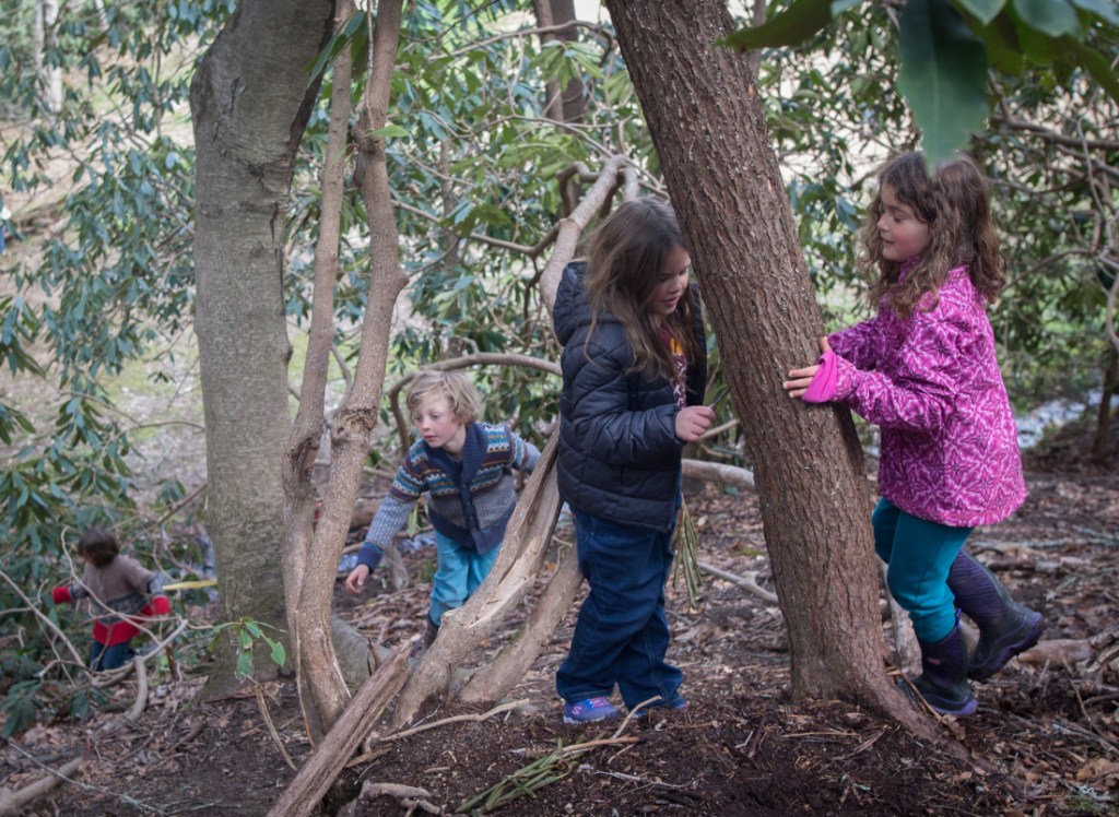 Unleashing the Power of Tundra Learning Styles: A Dynamic Approach to&nbsp;Education