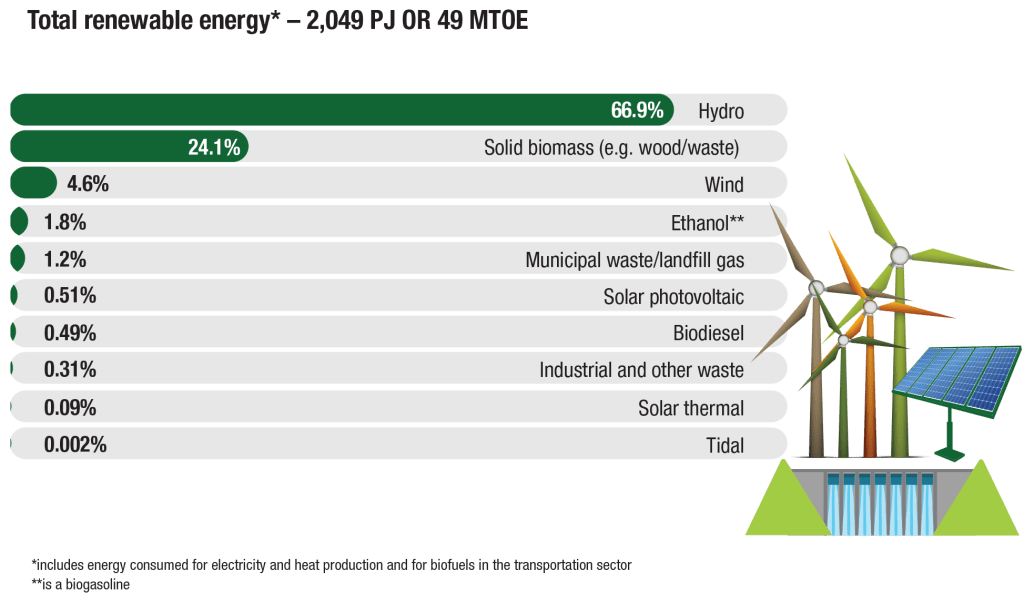 Embracing the Power of Renewables: A Sustainable Energy&nbsp;Revolution