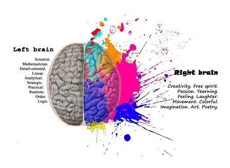 Unleashing the Power of Neuroplasticity: Transforming Education for Student&nbsp;Success