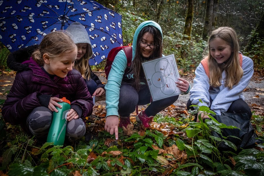 Empowering Future Eco-Warriors: The Role of Environmental Sustainability Education in Alternative&nbsp;Schools